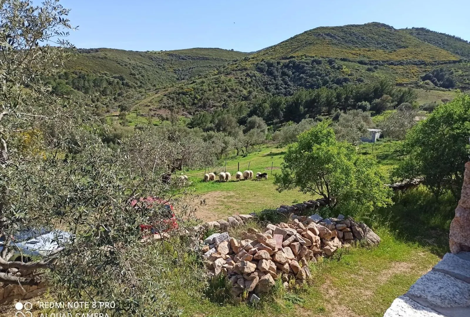 Appartamento Immerso Nel Verde San Teodoro