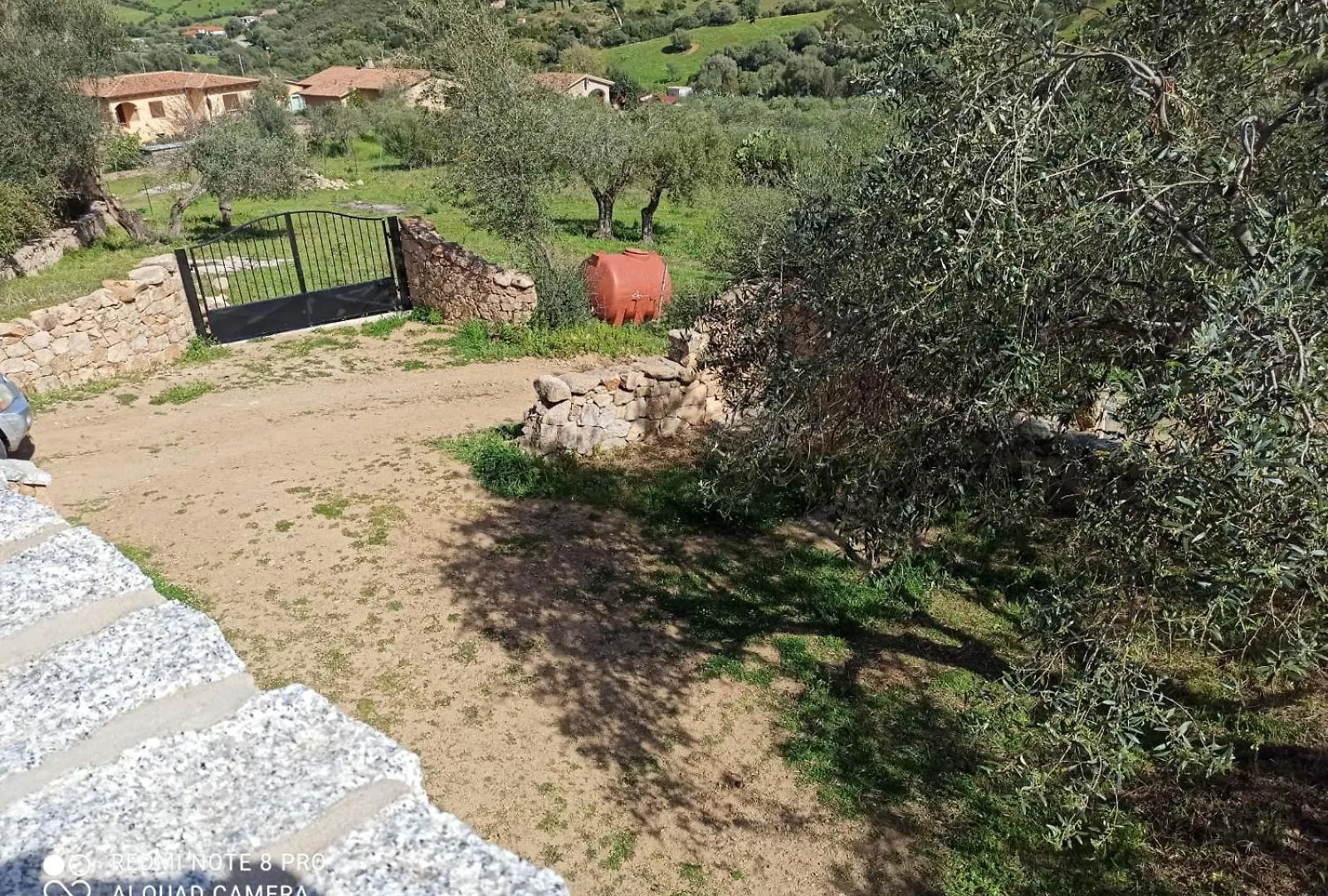 Appartamento Immerso Nel Verde San Teodoro  San Teodoro (Sardinia)